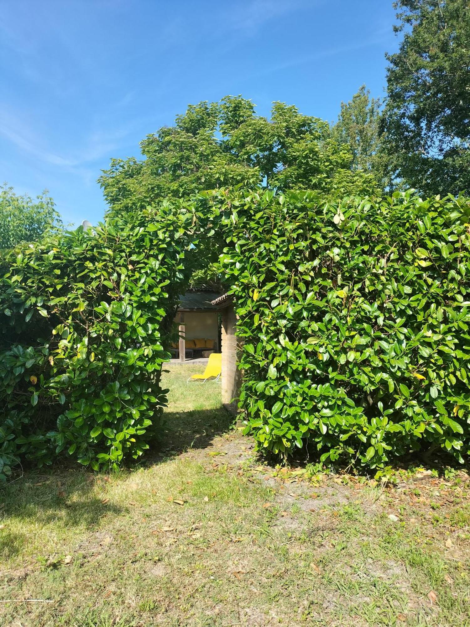 Villa Studio Equipe Terrasse Et Jardin à Vielle-Saint-Girons Extérieur photo